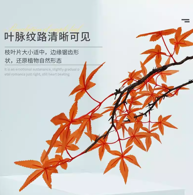 花艺爱好者必看!实用插花艺术全攻略