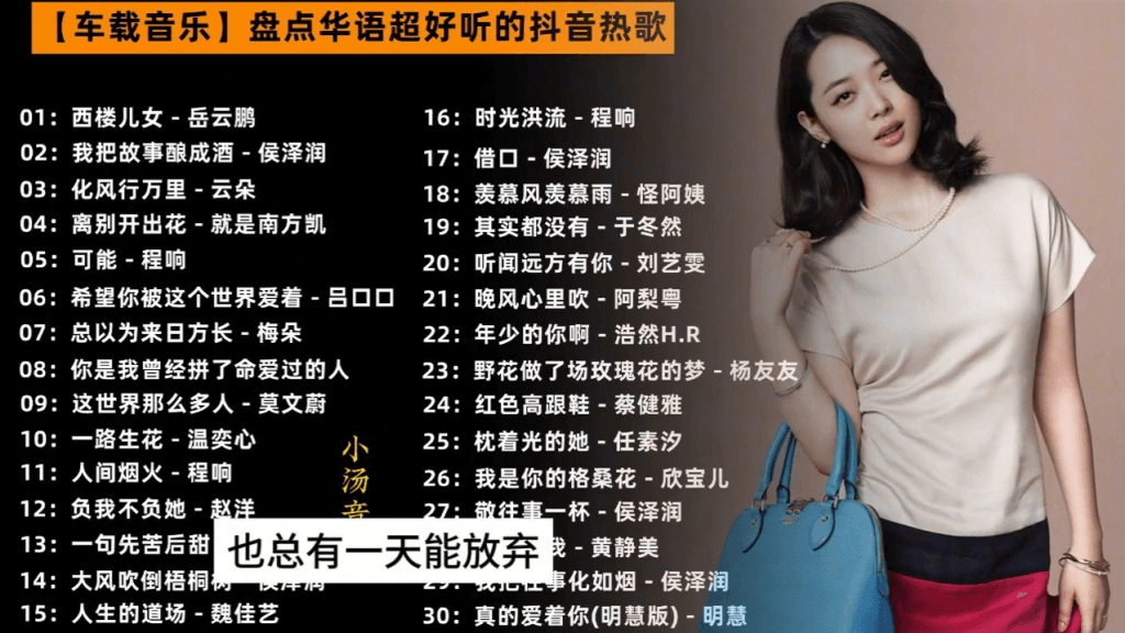 某宝上售价238的车载U盘,里面所有的歌曲全部拷贝出来了,各种类型的都有,包含MV和MP3